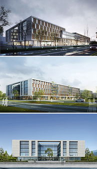 精品軟件素材與宜昌軟件開(kāi)發(fā) 打造優(yōu)質(zhì)用戶界面與功能體驗(yàn)